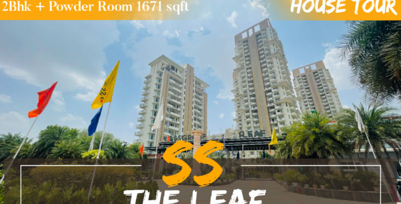 SS The Leaf